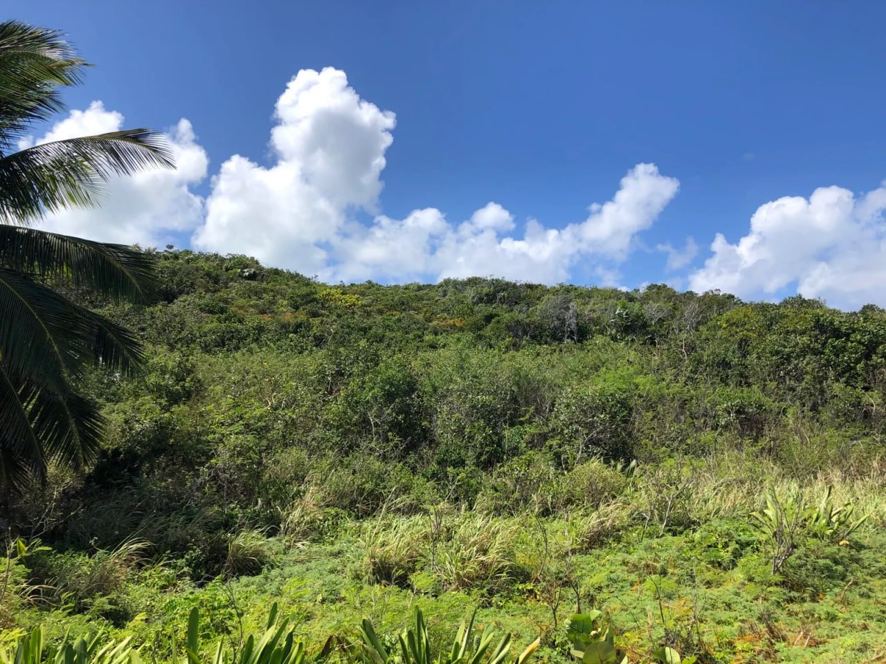 New commercial development site requiring environmental assessment